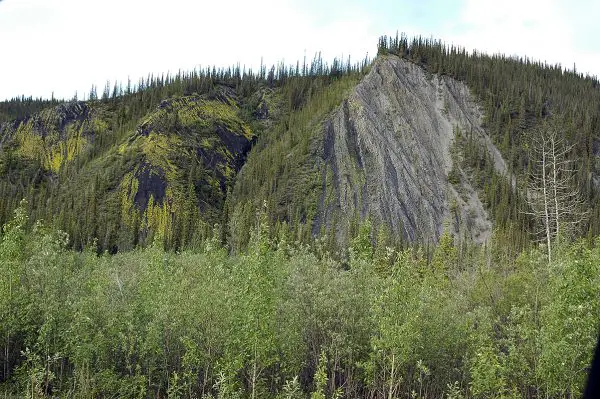 trees mountains dempster highway 