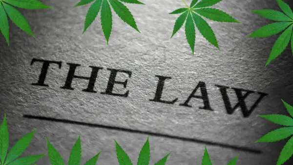 the law and cannabis