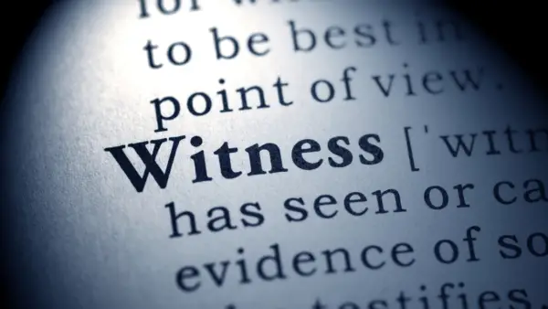 gather witness information after a car accident 