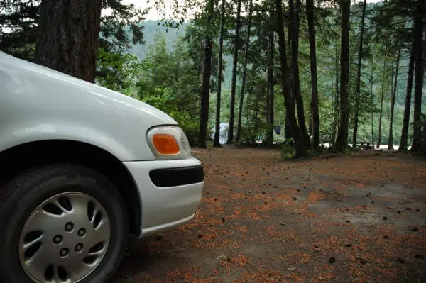 Logging Road British Columbia 