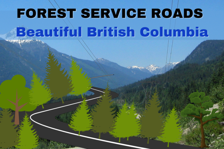 BC Guide to Driving on Forest Service - Forest Service Roads Beautiful British Columbia 768x512 