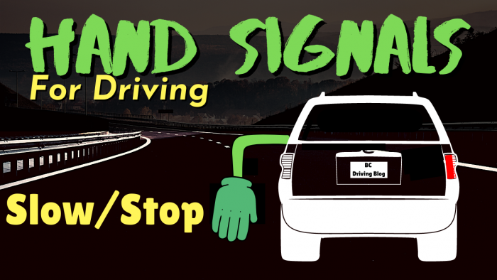 arm signals driving slow or stop 