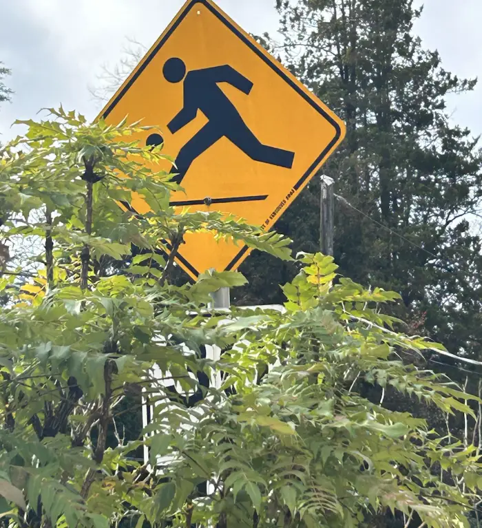 hidden playground zone sign 